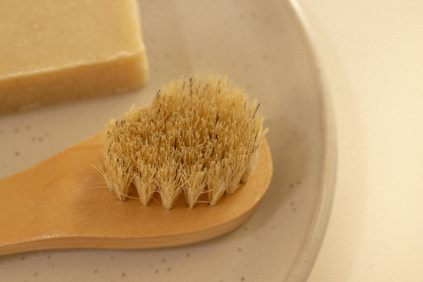 Face Scrub Brush